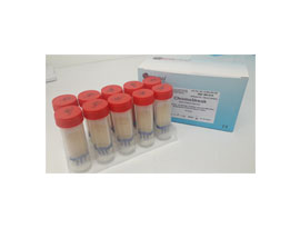 DipStreak CLED/MacConkey urine culture device